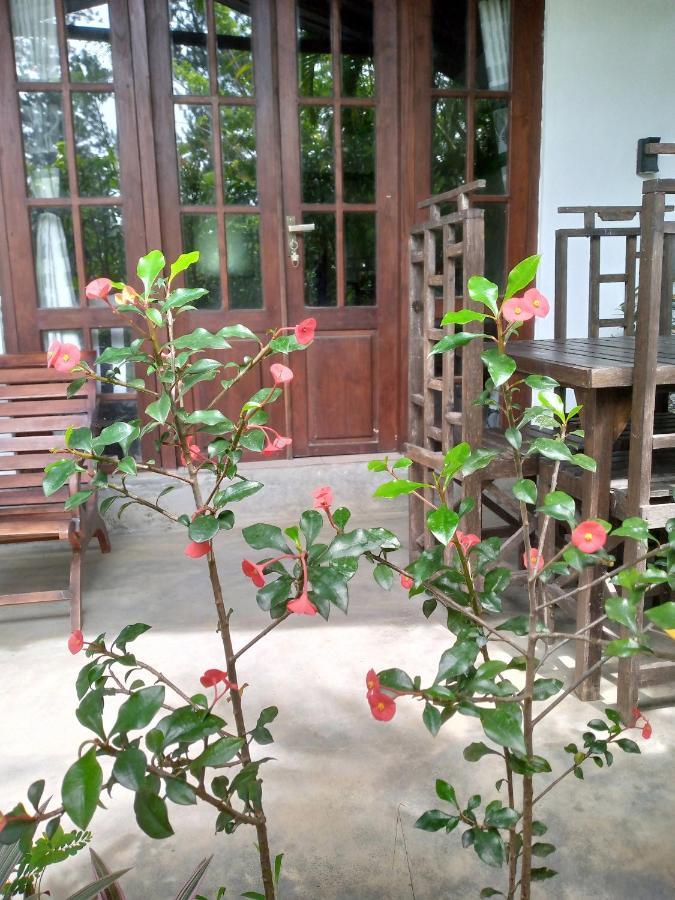 Avenra Cottage เอลลา ภายนอก รูปภาพ
